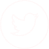 X (Twitter)